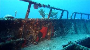 Zaeta wreck